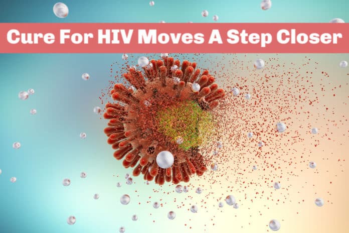 Cure For HIV Moves A Step Closer In A Breakthrough Discovery
