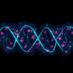 New Improved & Accurate Single-Cell RNA Sequencing Method Developed