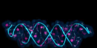 New Improved & Accurate Single-Cell RNA Sequencing Method Developed
