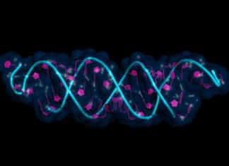 New Improved & Accurate Single-Cell RNA Sequencing Method Developed New Improved & Accurate Single-Cell RNA Sequencing Method Developed