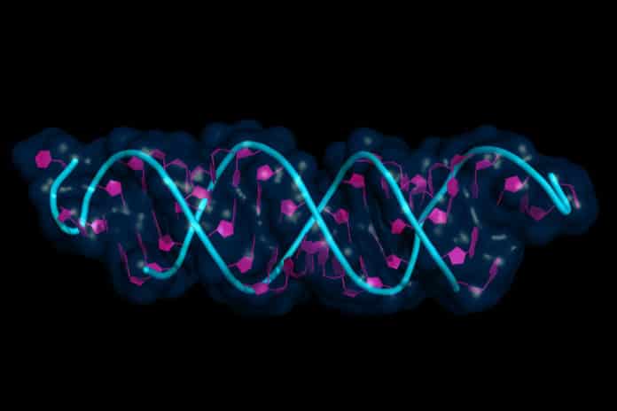 New Improved & Accurate Single-Cell RNA Sequencing Method Developed