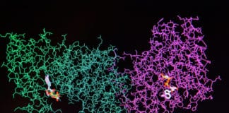 Scientists Crack Complex Enzyme Structure With Google's Help
