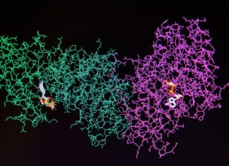 Scientists Crack Complex Enzyme Structure With Google’s Help Scientists Crack Complex Enzyme Structure With Google's Help