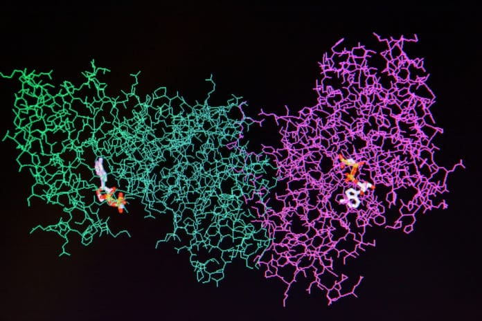 Scientists Crack Complex Enzyme Structure With Google's Help