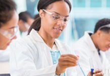 Vienna Biocenter Summer School Undergraduate Fellowships 2019