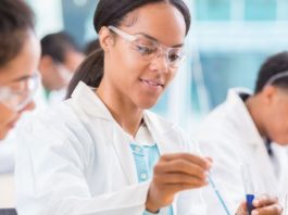 Vienna Biocenter Summer School Undergraduate Fellowships 2019