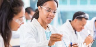 Vienna Biocenter Summer School Undergraduate Fellowships 2019