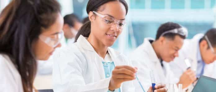 Vienna Biocenter Summer School Undergraduate Fellowships 2019