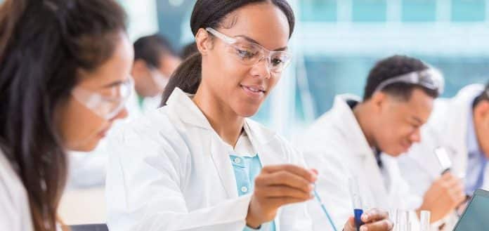 Vienna Biocenter Summer School Undergraduate Fellowships 2019