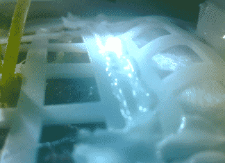 First Ever Plant Grown On Moon By Chinese Researchers : Dead First Ever Plant Grown On Moon By Chinese Researchers : Dead