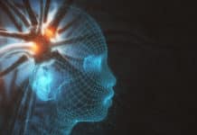 Machine Learning For Deeper Understanding Of Biological Metabolisms