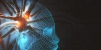 Machine Learning For Deeper Understanding Of Biological Metabolisms