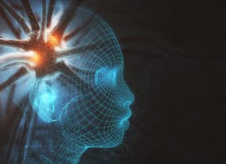 Machine Learning For Deeper Understanding Of Biological Metabolisms Machine Learning For Deeper Understanding Of Biological Metabolisms