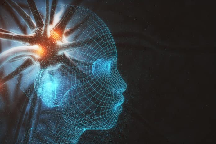 Machine Learning For Deeper Understanding Of Biological Metabolisms