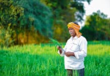 Biotech KISAN Hubs Across India By DBT To Tackle Agricultural Issues Biotech KISAN Hubs Across India By DBT To Tackle Agricultural Issues