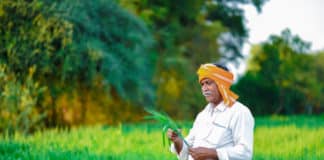 Biotech KISAN Hubs Across India By DBT To Tackle Agricultural Issues