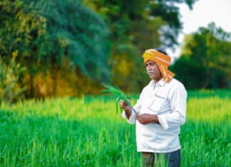 Biotech KISAN Hubs Across India By DBT To Tackle Agricultural Issues Biotech KISAN Hubs Across India By DBT To Tackle Agricultural Issues