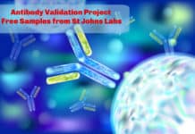 Antibody Validation Project | Free Samples from St Johns Labs