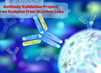 Antibody Validation Project | Free Samples from St Johns Labs Antibody Validation Project | Free Samples from St Johns Labs