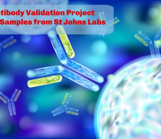 Antibody Validation Project | Free Samples from St Johns Labs