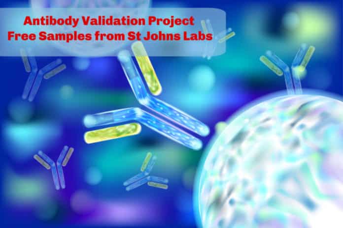 Antibody Validation Project | Free Samples from St Johns Labs