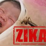 IIT Mandi Researchers Discover New Drug Against Zika Virus