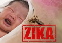IIT Mandi Researchers Discover New Drug Against Zika Virus IIT Mandi Researchers Discover New Drug Against Zika Virus