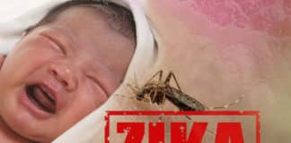 IIT Mandi Researchers Discover New Drug Against Zika Virus