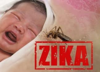 IIT Mandi Researchers Discover New Drug Against Zika Virus
