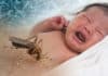 First In Human Clinical Trial For DMAb Against Zika Approved By FDA First In Human Clinical Trial For DMAb Against Zika Approved By FDA