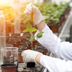 DBT & ICAR Sings MoU To Promote Agricultural Biotechnology Sector