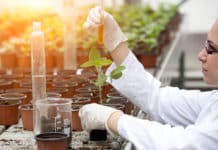 DBT & ICAR Sings MoU To Promote Agricultural Biotechnology Sector