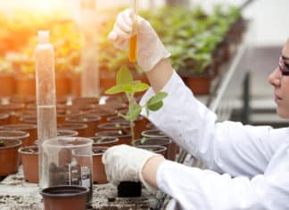 DBT & ICAR Signs MoU To Promote Agricultural Biotechnology Sector DBT & ICAR Sings MoU To Promote Agricultural Biotechnology Sector