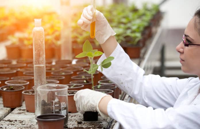 DBT & ICAR Sings MoU To Promote Agricultural Biotechnology Sector