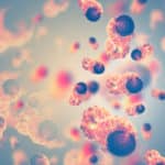 Key Enzyme Discovered For Cancer Stem Cell Elimination: ADAR1