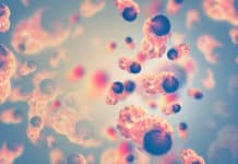 Key Enzyme Discovered For Cancer Stem Cell Elimination: ADAR1 Key Enzyme Discovered For Cancer Stem Cell Elimination: ADAR1