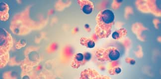 Key Enzyme Discovered For Cancer Stem Cell Elimination: ADAR1