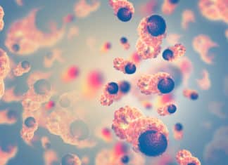 Key Enzyme Discovered For Cancer Stem Cell Elimination: ADAR1 Key Enzyme Discovered For Cancer Stem Cell Elimination: ADAR1