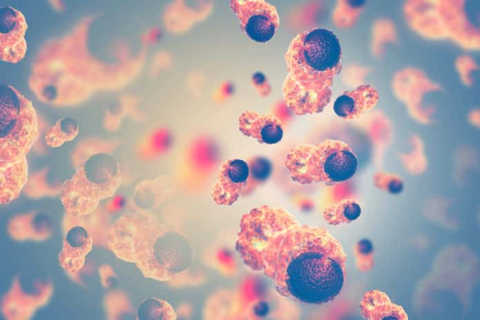 Key Enzyme Discovered For Cancer Stem Cell Elimination: ADAR1