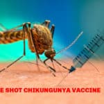Single Shot Vaccine For Chikungunya Virus By French Biotech- Valneva Single Shot Vaccine For Chikungunya Virus By French Biotech- Valneva