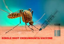 Single Shot Vaccine For Chikungunya Virus By French Biotech- Valneva Single Shot Vaccine For Chikungunya Virus By French Biotech- Valneva