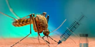 Single Shot Vaccine For Chikungunya Virus By French Biotech- Valneva