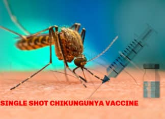 Single Shot Vaccine For Chikungunya Virus By French Biotech- Valneva Single Shot Vaccine For Chikungunya Virus By French Biotech- Valneva
