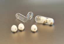 Tortoise Inspired “Insulin Shot In Capsule” By MIT Scientists Tortoise Inspired "Insulin Shot In Capsule" By MIT Scientists