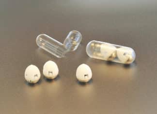 Tortoise Inspired "Insulin Shot In Capsule" By MIT Scientists