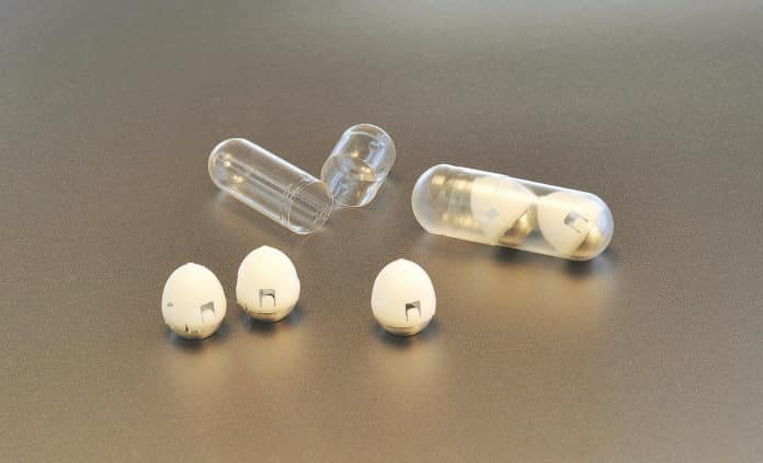 Tortoise Inspired "Insulin Shot In Capsule" By MIT Scientists