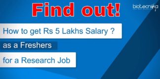 Freshers Research Job