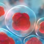 Invisible Pluripotent Stem Cells Created With CRISPR-Cas9 Gene Editing