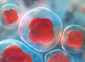 Invisible Pluripotent Stem Cells Created With CRISPR-Cas9 Gene Editing