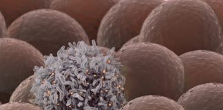 100% Effective Cure For Cancer By "MuTaTo" Claims Israeli Scientists